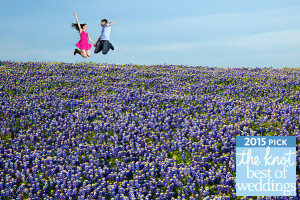 Best of Weddings 2015 Photographers